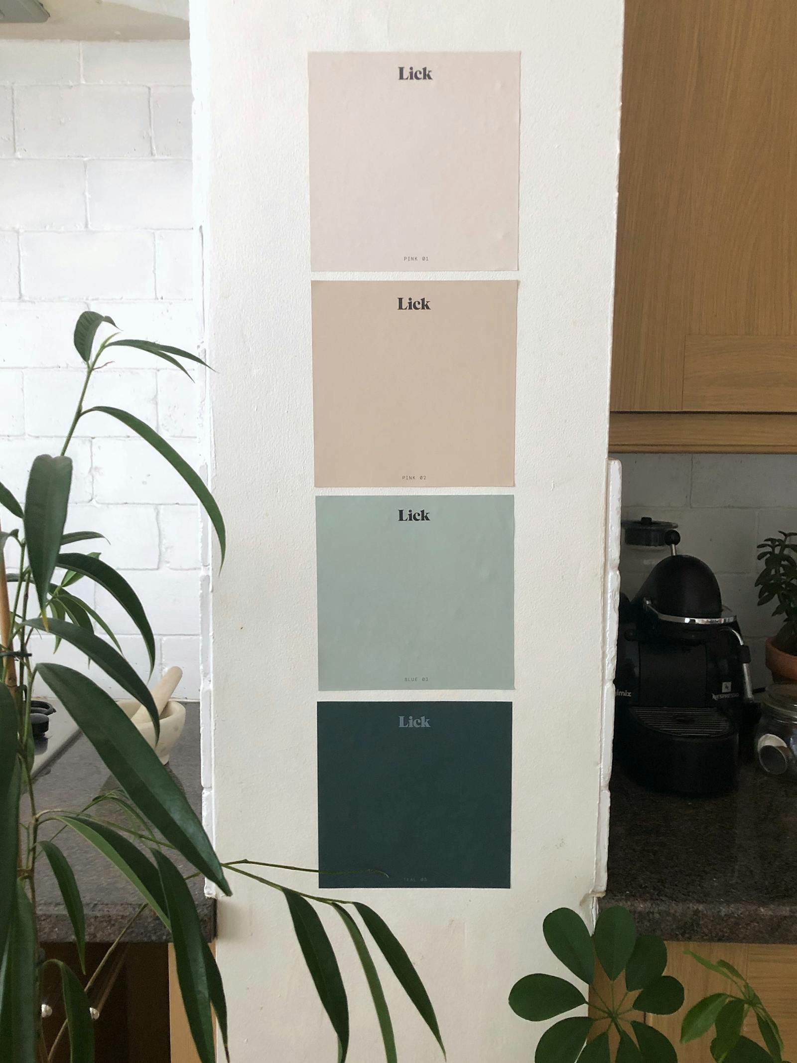 Lick Pink 01, Pink 02, Blue 03 and Teal 03 samples on a white wall