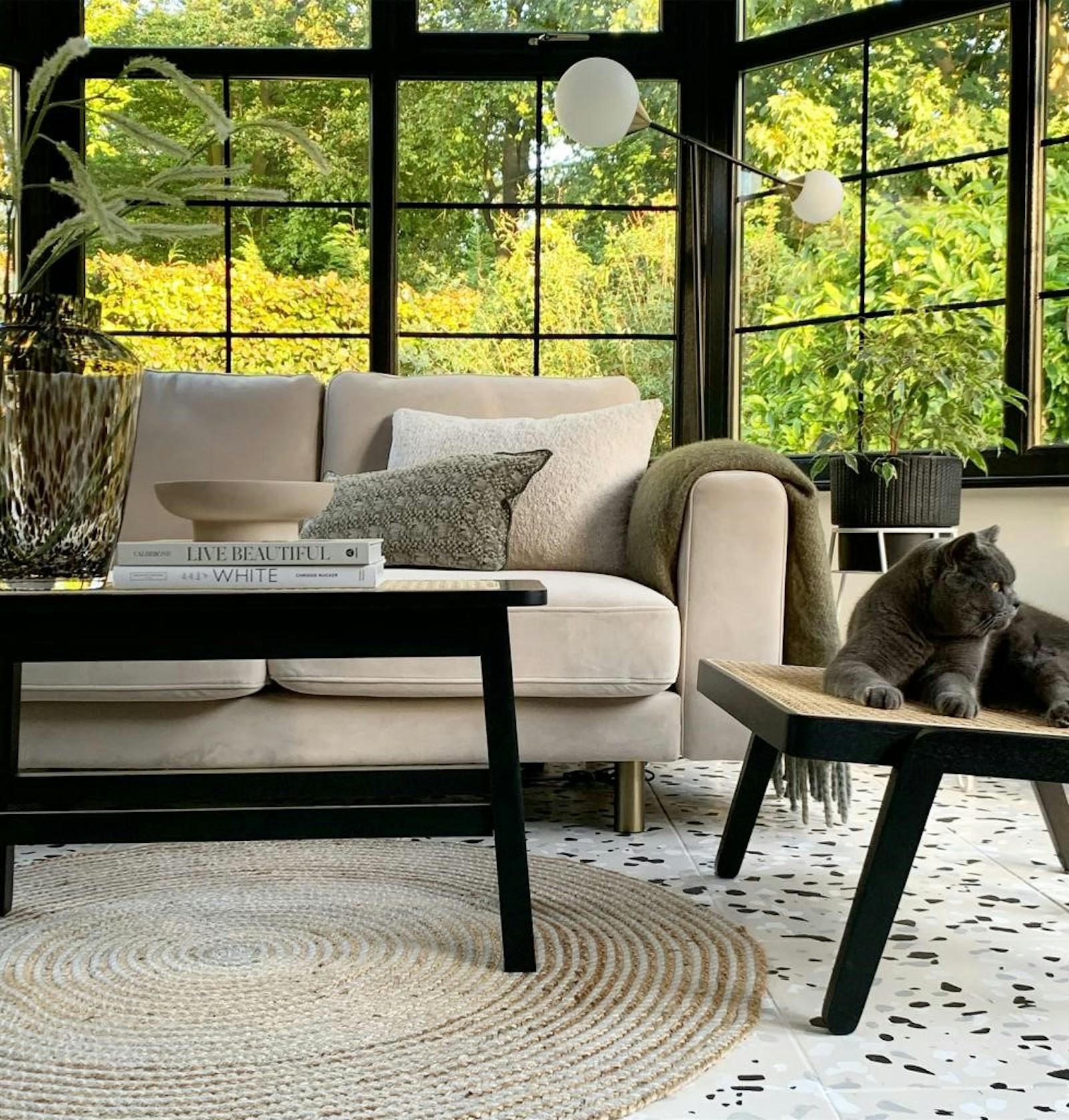 Beige sofa and rattan furniture details with cat lounging on rattan stool