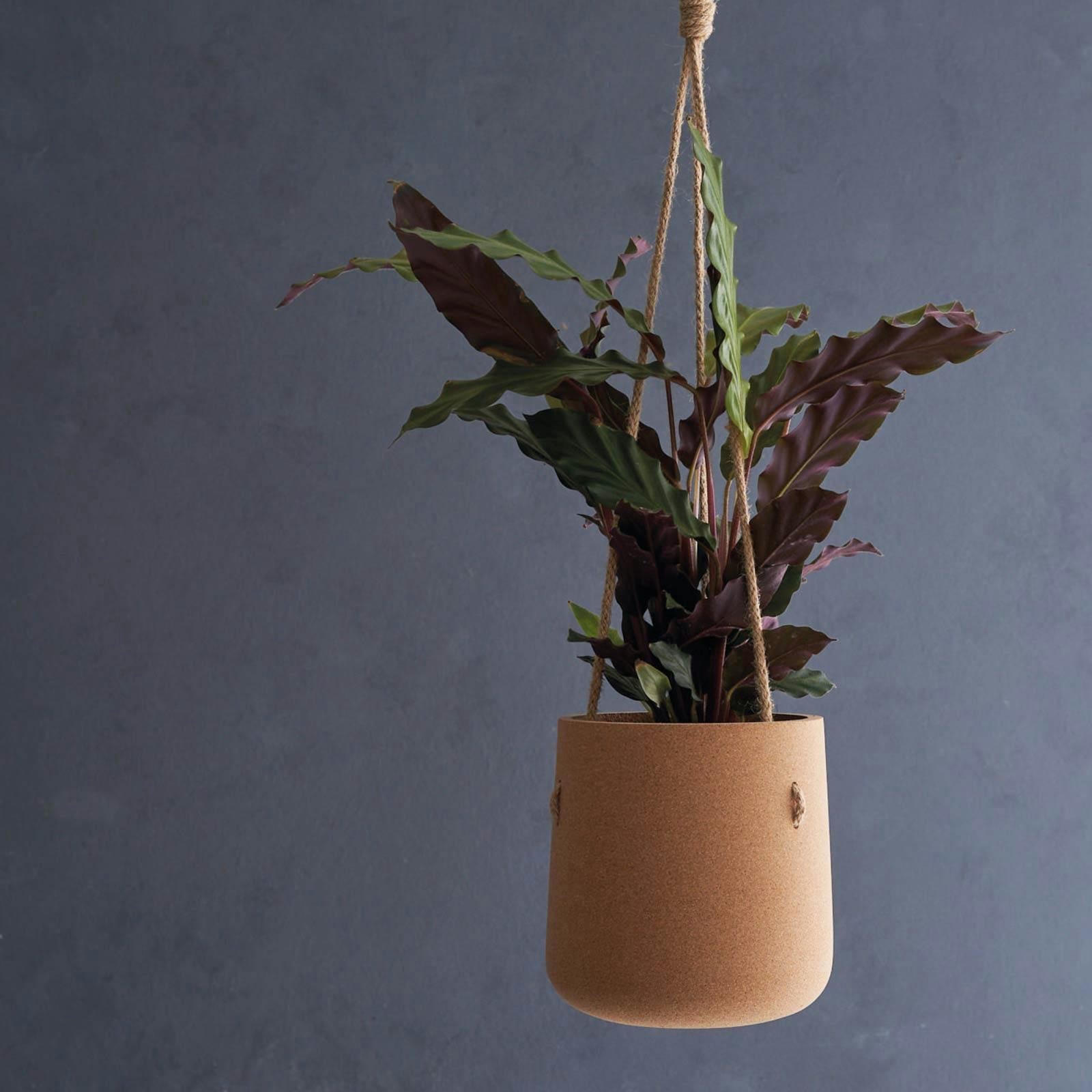 Cork-based planter