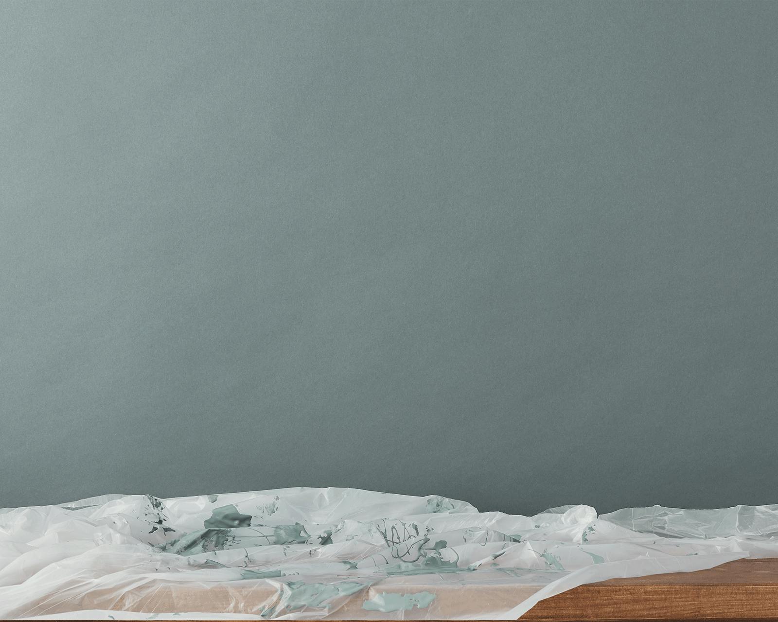 Lick biodegradable dust sheet used