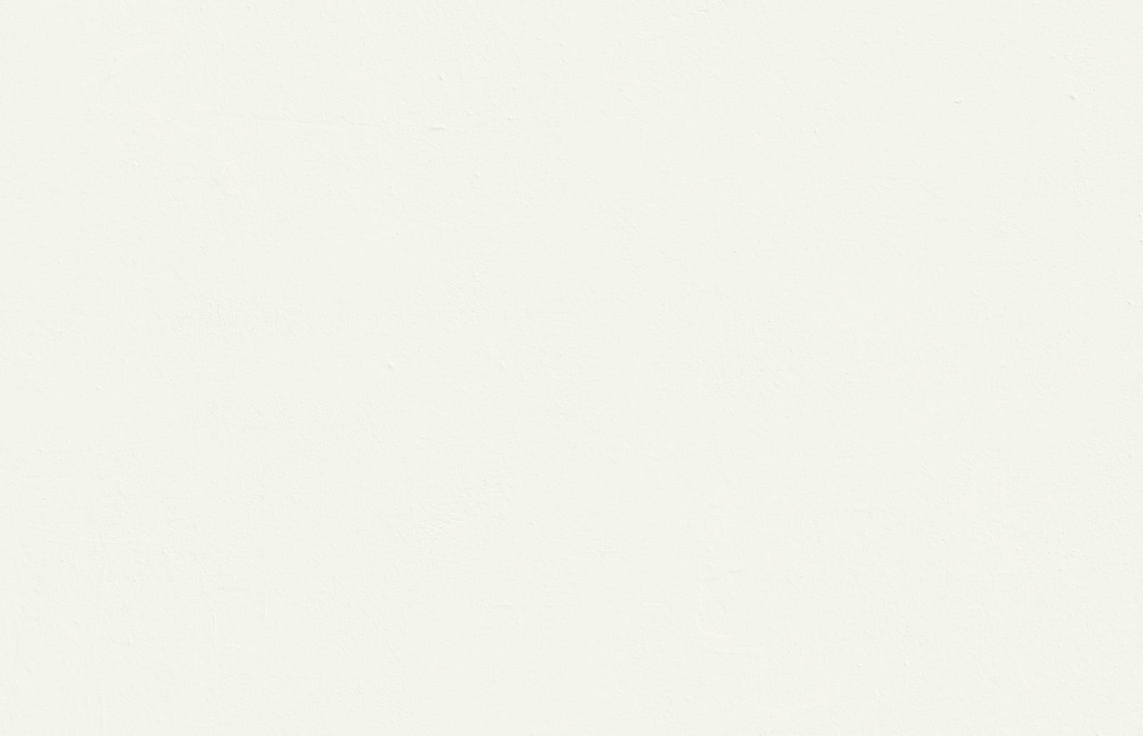 Textured wall painted in Lick White 01 paint