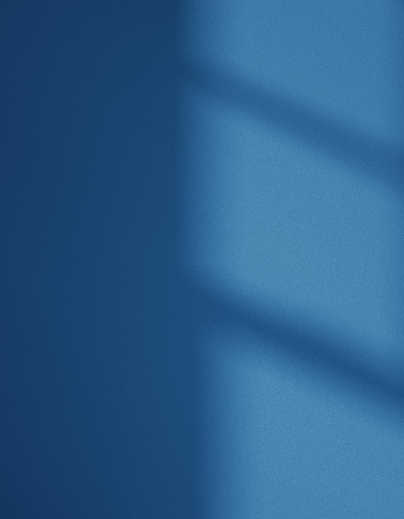 Wall showing Blue 111 in varied natural light