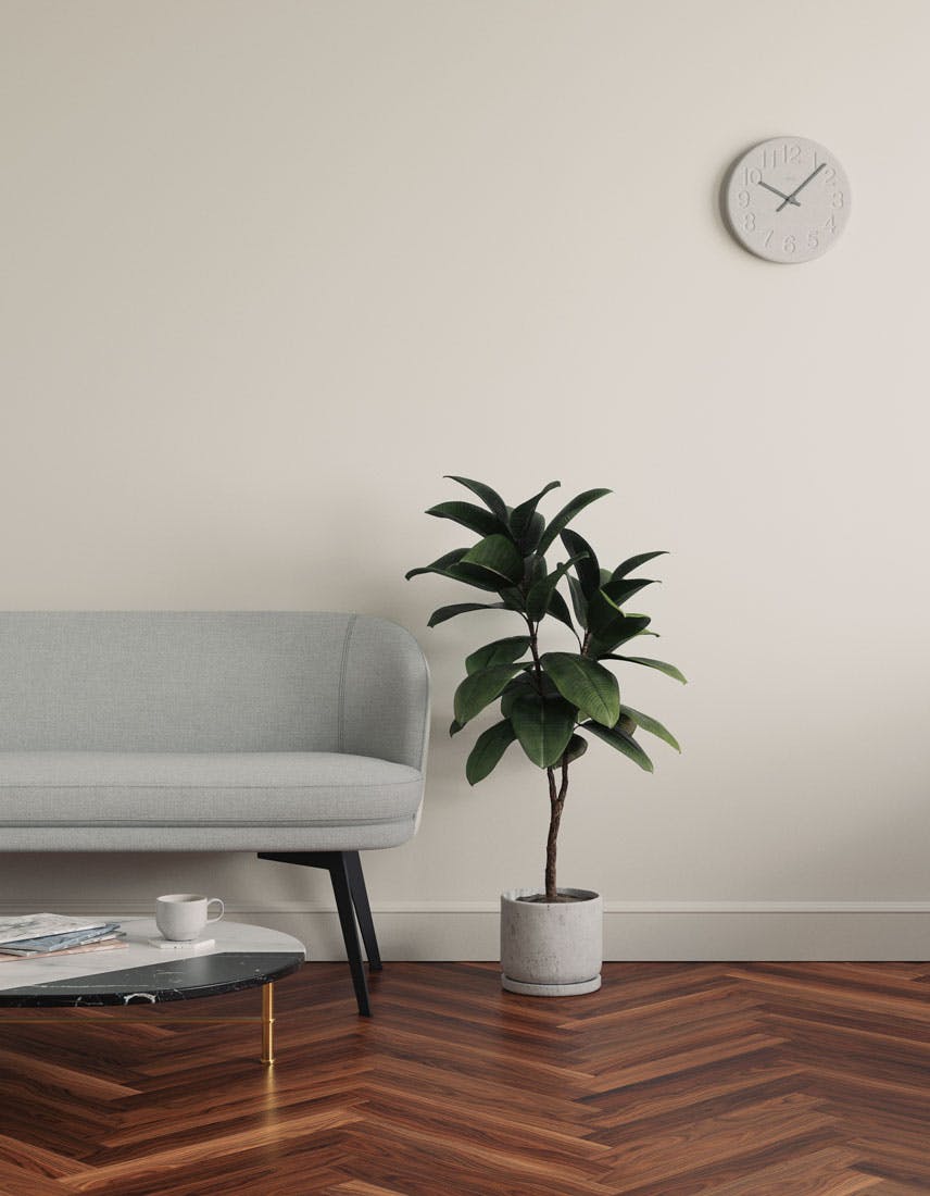 Living room scene decorated with Lick White 02 paint