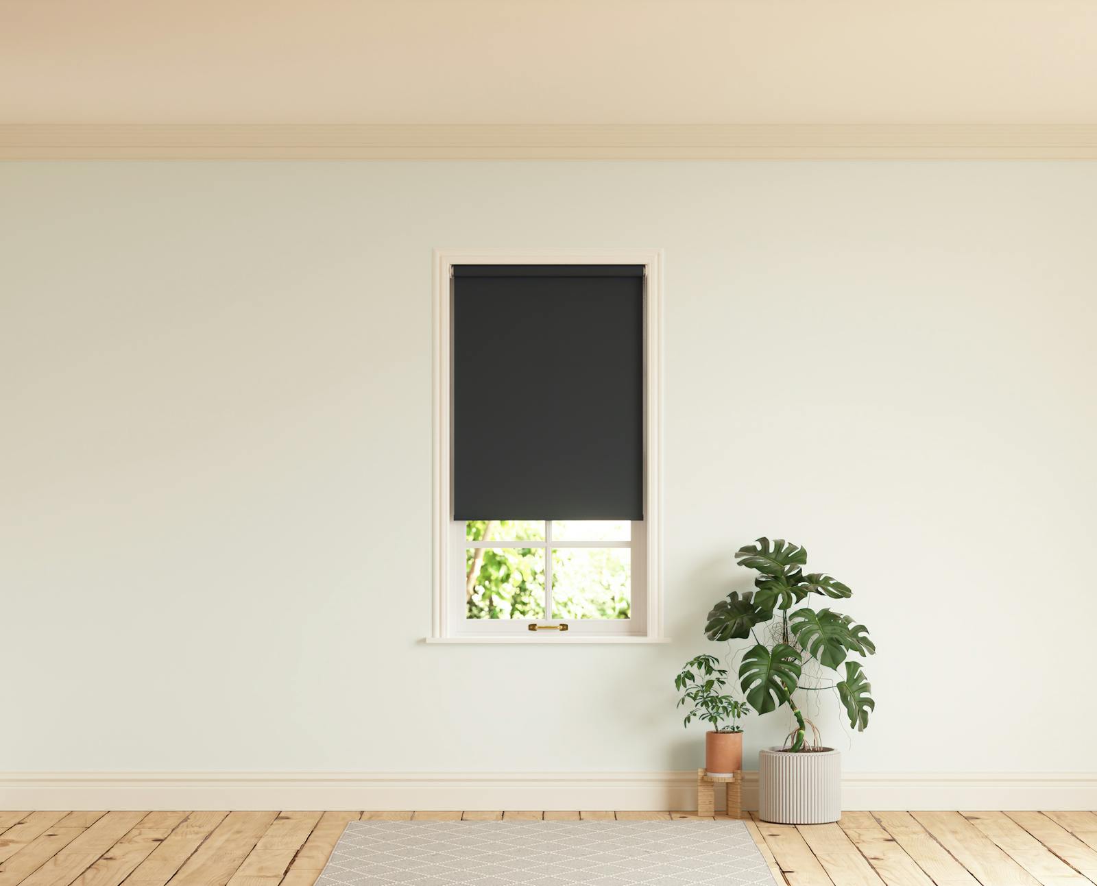 Room with walls painted in Lick White 02 and Black 02 roller blinds