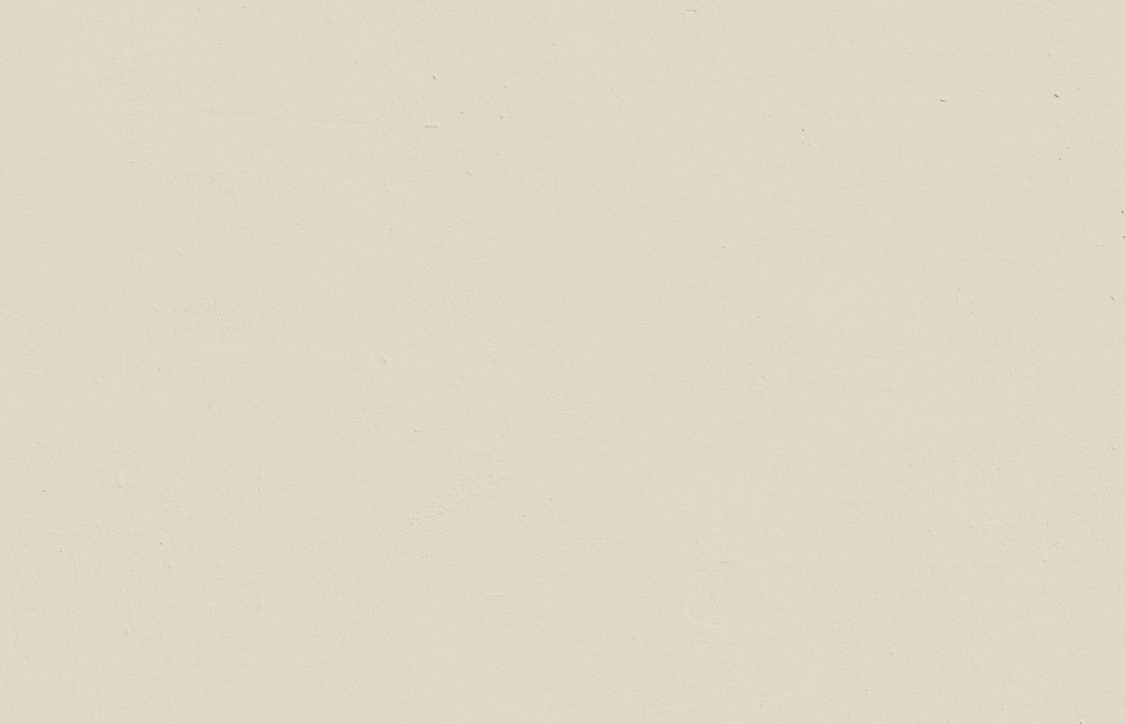 Textured wall painted in Lick White 05 paint