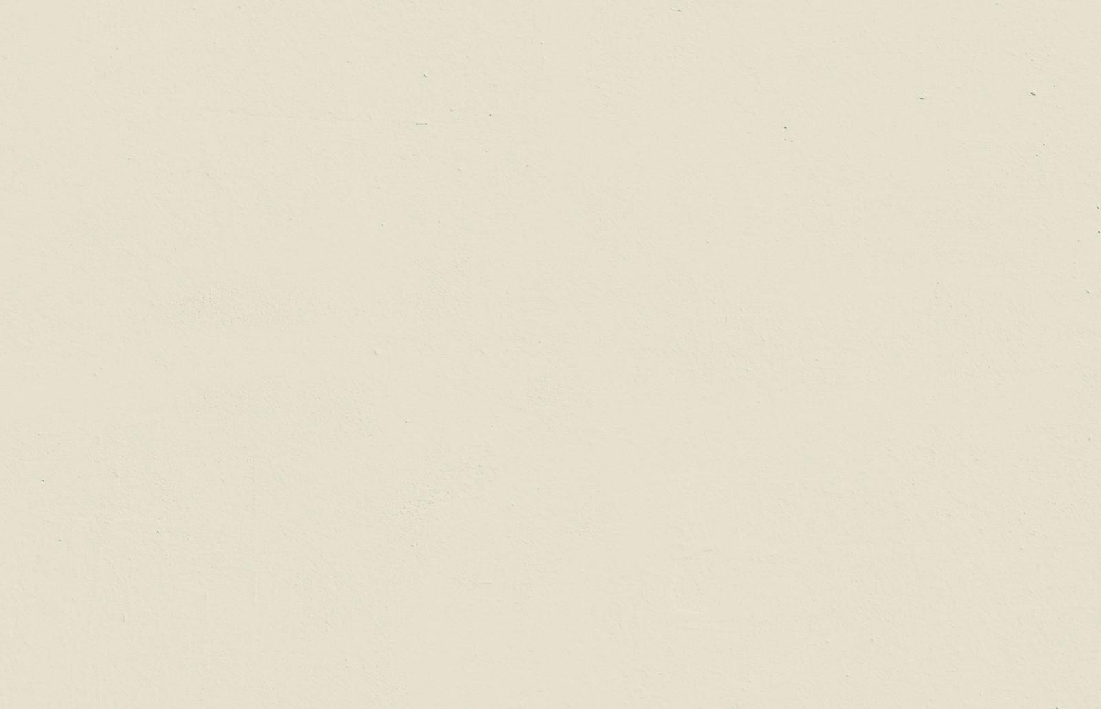 Textured wall painted in Lick White 05 paint