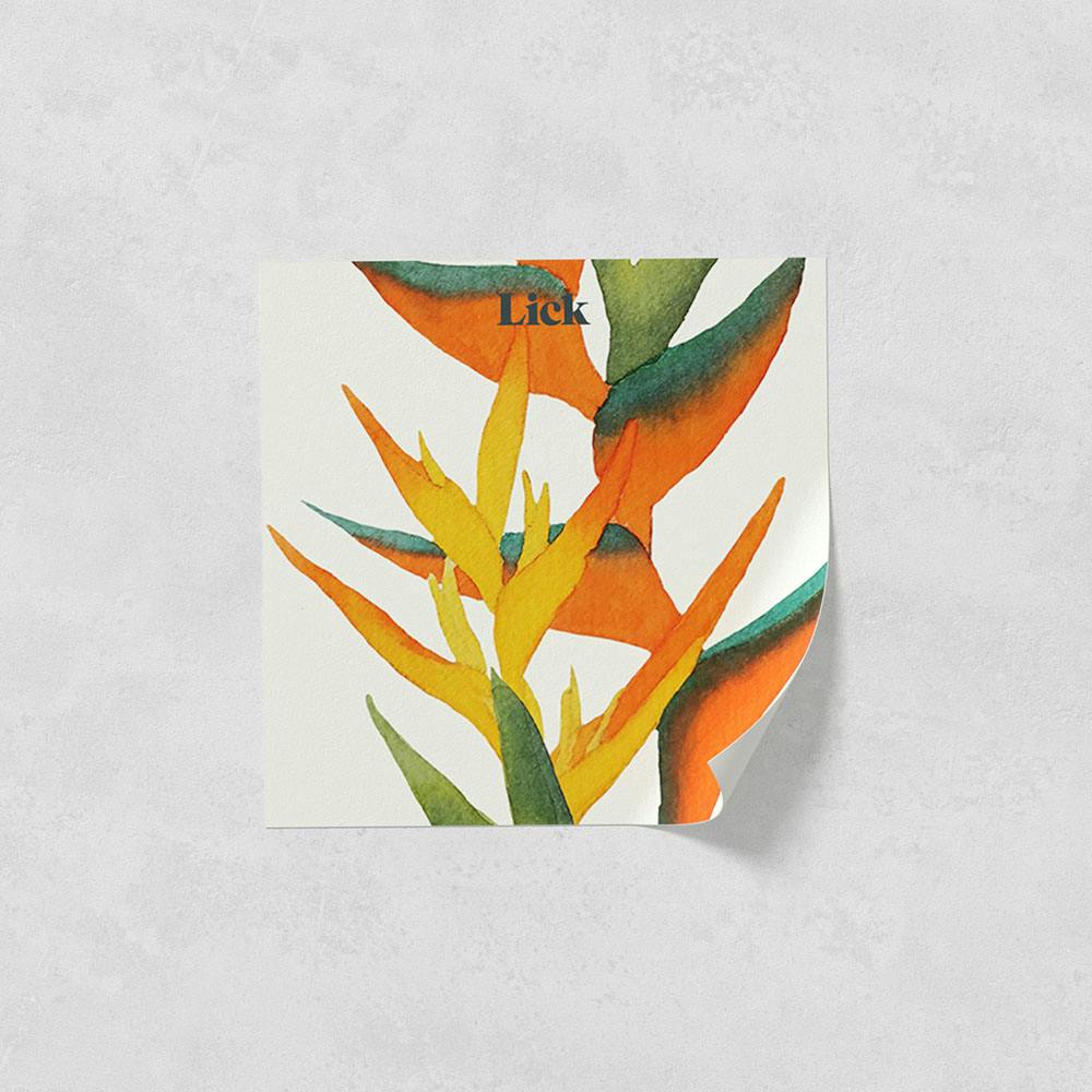 Lick peel and stick wallpaper sample in Paradise Vine 01