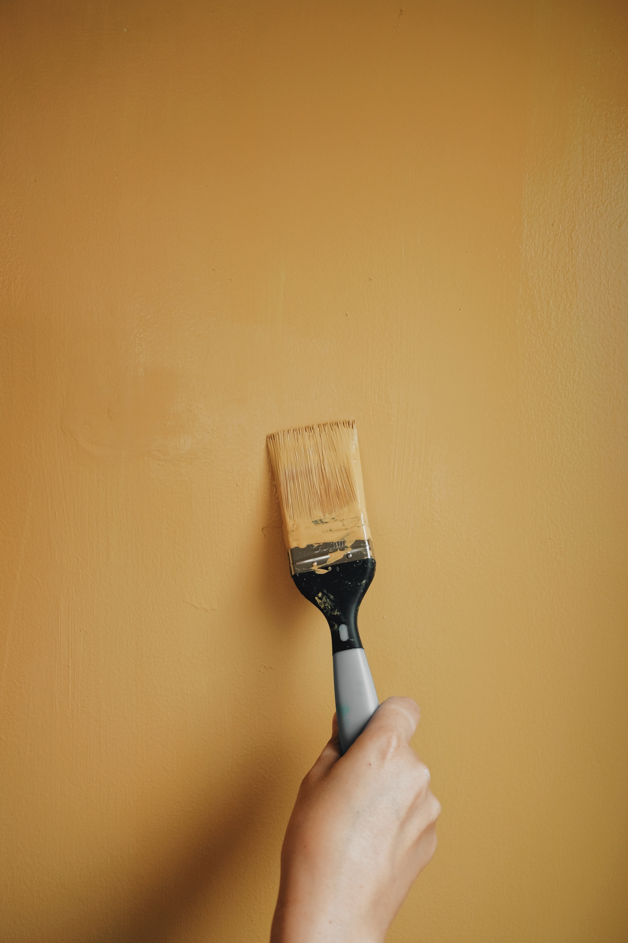 What To Do With Your Leftover Paint Tips & Tricks Lick