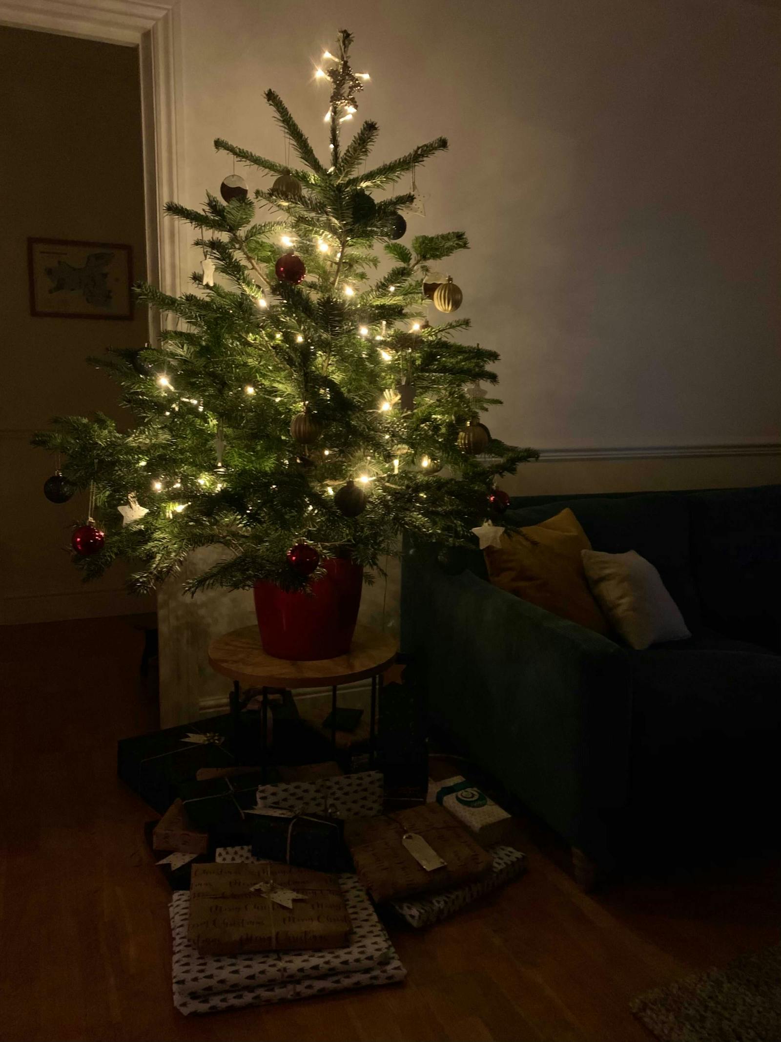 A potted Christmas tree decorated in red and gold baubles, with golden fairy lights