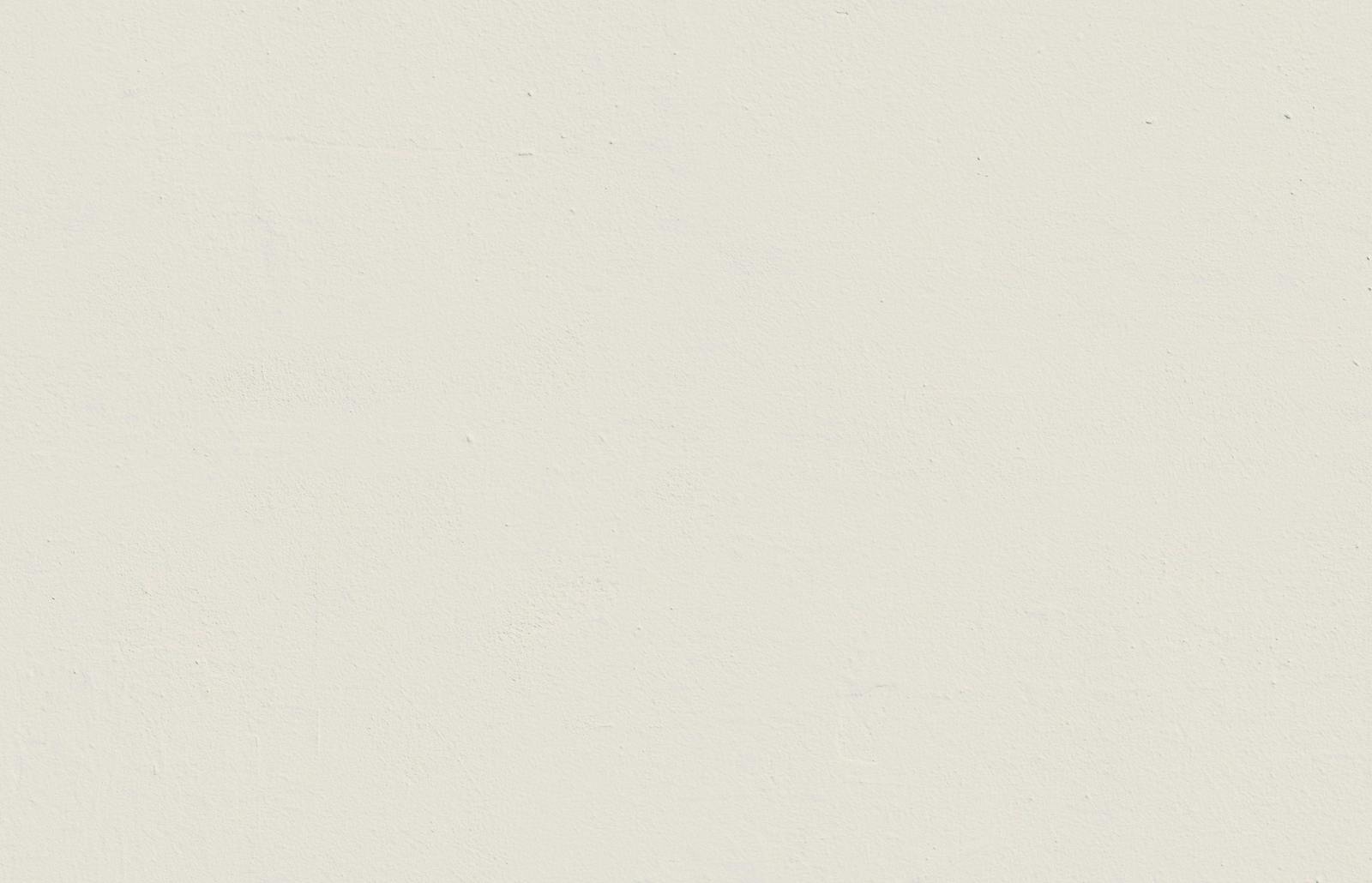 Textured wall painted in Lick White 04 paint