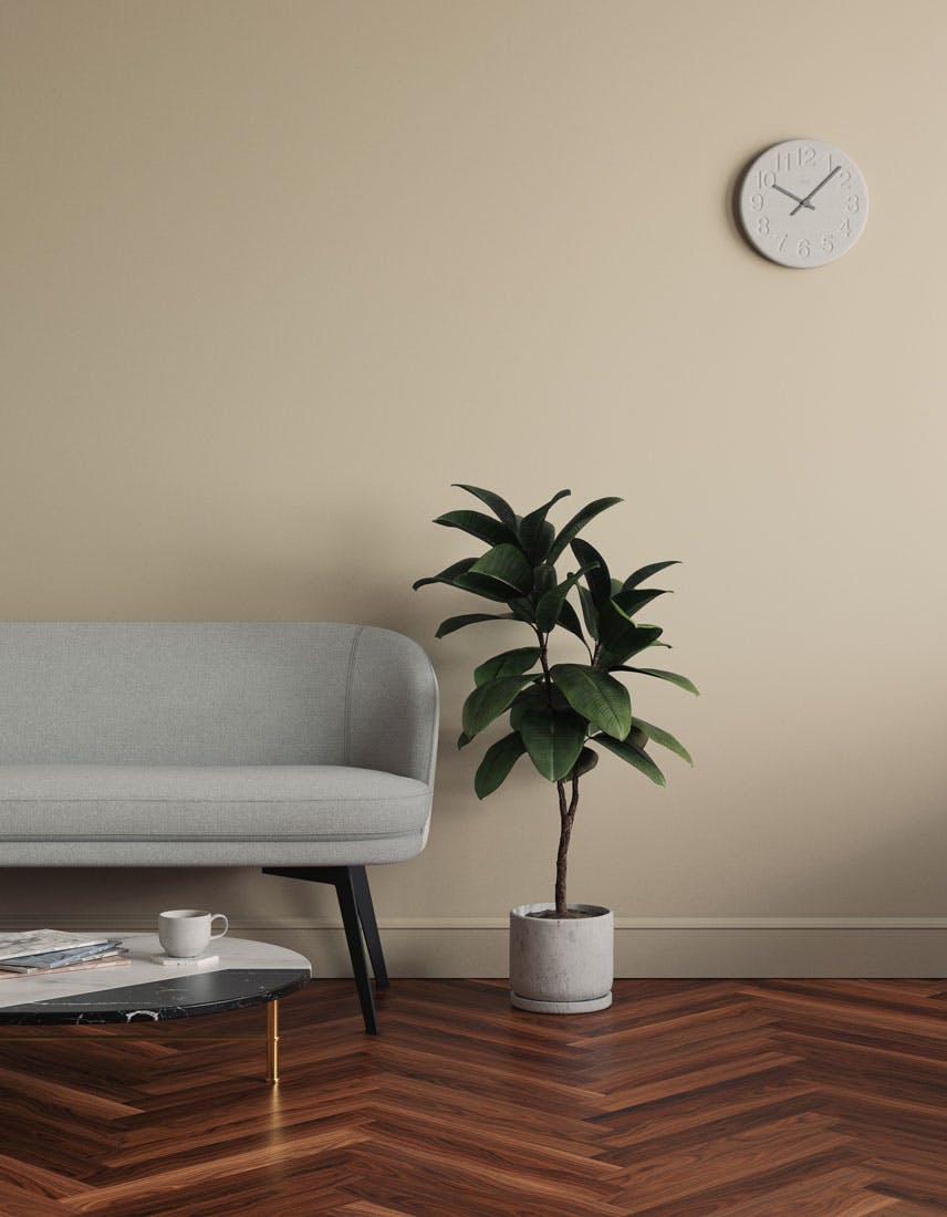 Living room scene decorated with Lick Greige 01 paint