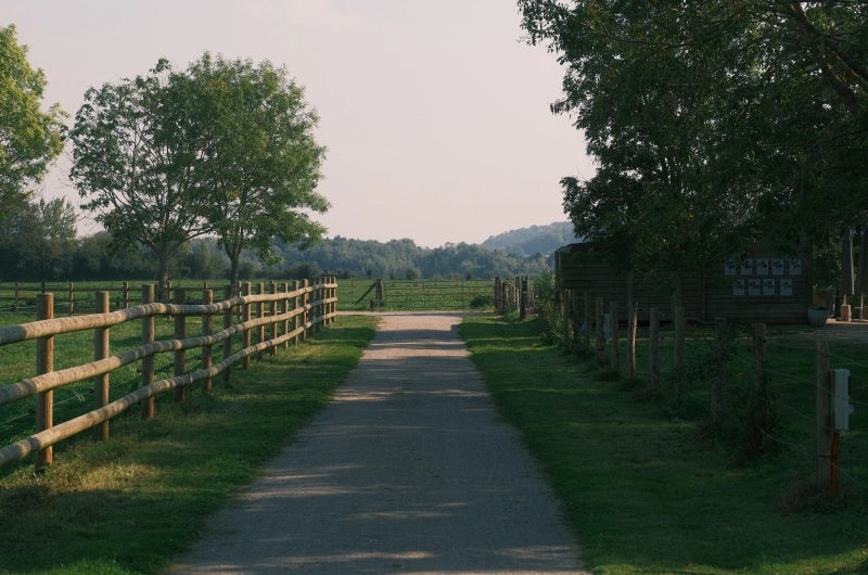 Chemin central en terre bordée d'herbe verte et barrière en bois