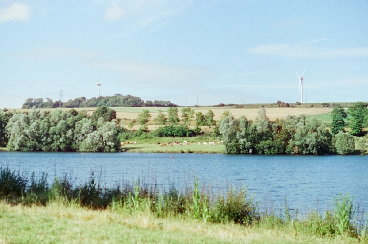 Berge de l'étang avec chevaux dans un pré au loin