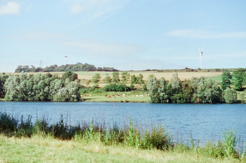 Berge de l'étang avec chevaux dans un pré au loin