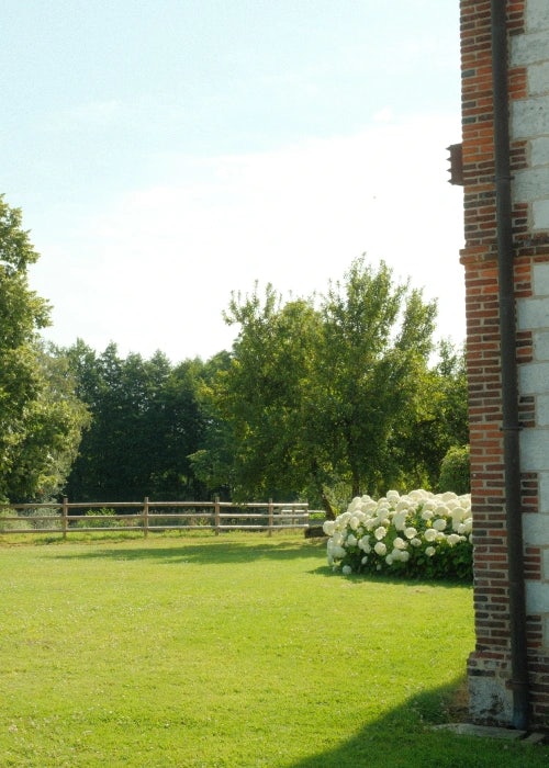 Gazon verdoyant avec bosquet de fleur, jardin de la maison la tour au Domaine du Lieudieu