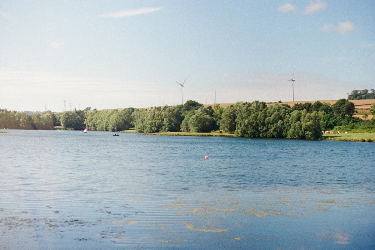 Vue d'un des étangs du domaine du Lieudieu bordé d'arbres