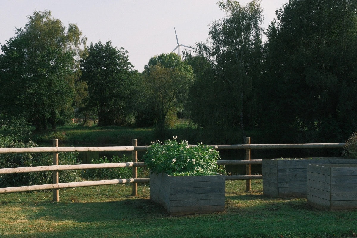 Barrière en bois, bac à fleur, grand arbres verts et éolienne