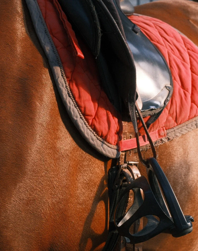 Séjour équestre Adulte