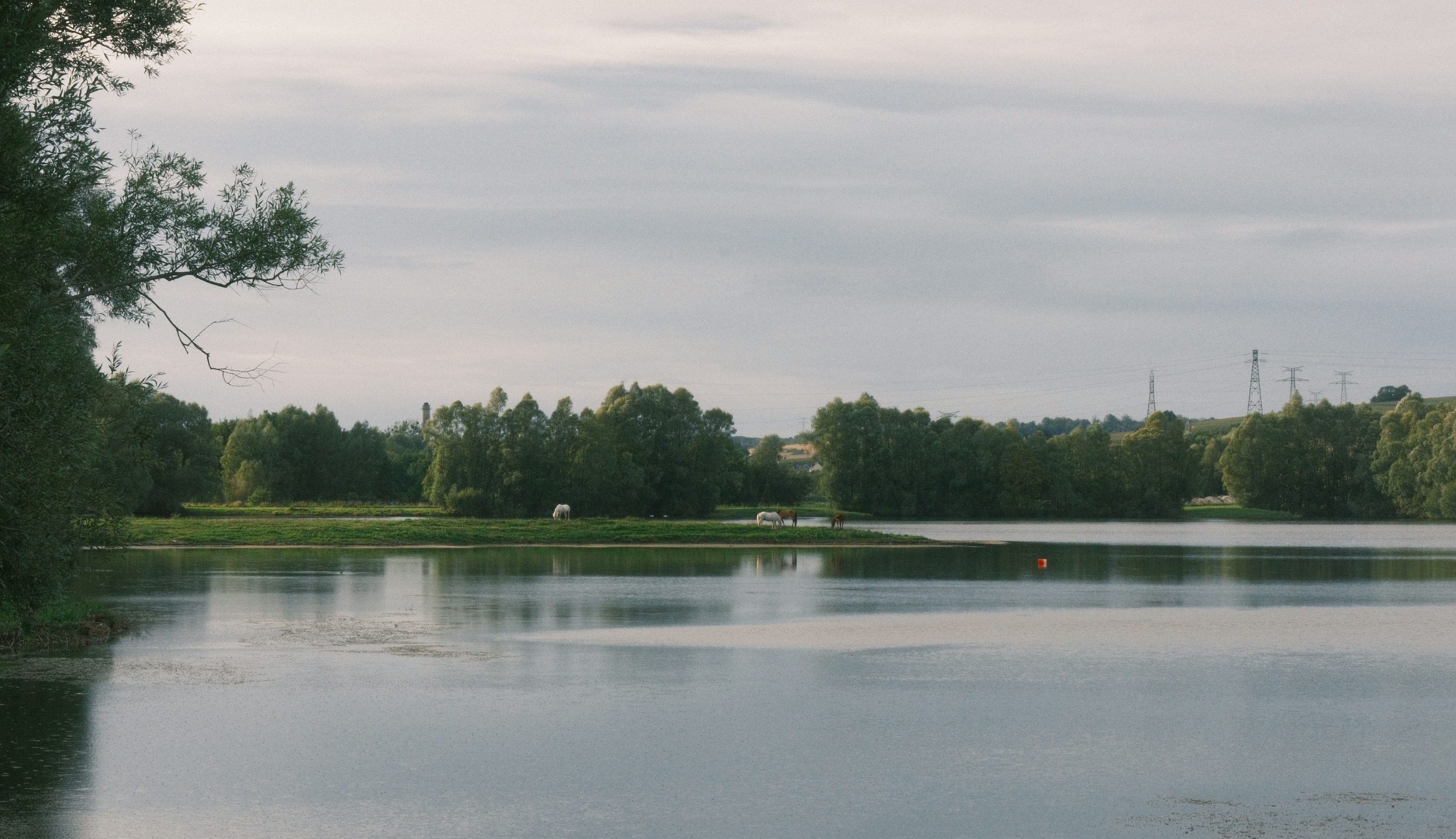 Etang du domaine de campagne le Lieudieu, location de gîtes proche de la Baie de Somme
