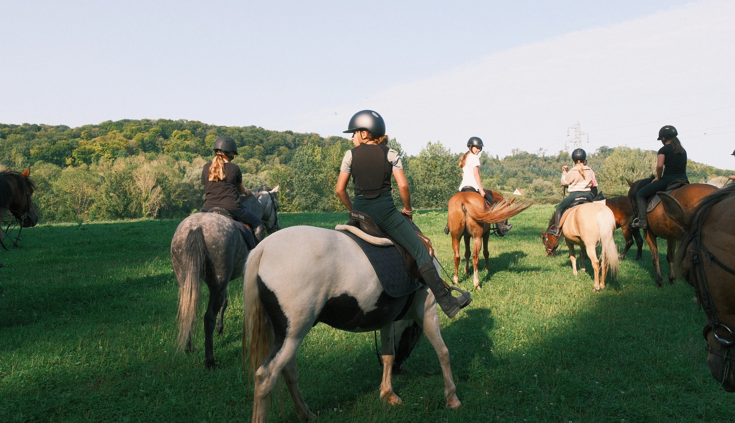 Group of riders stopped in a meadow
