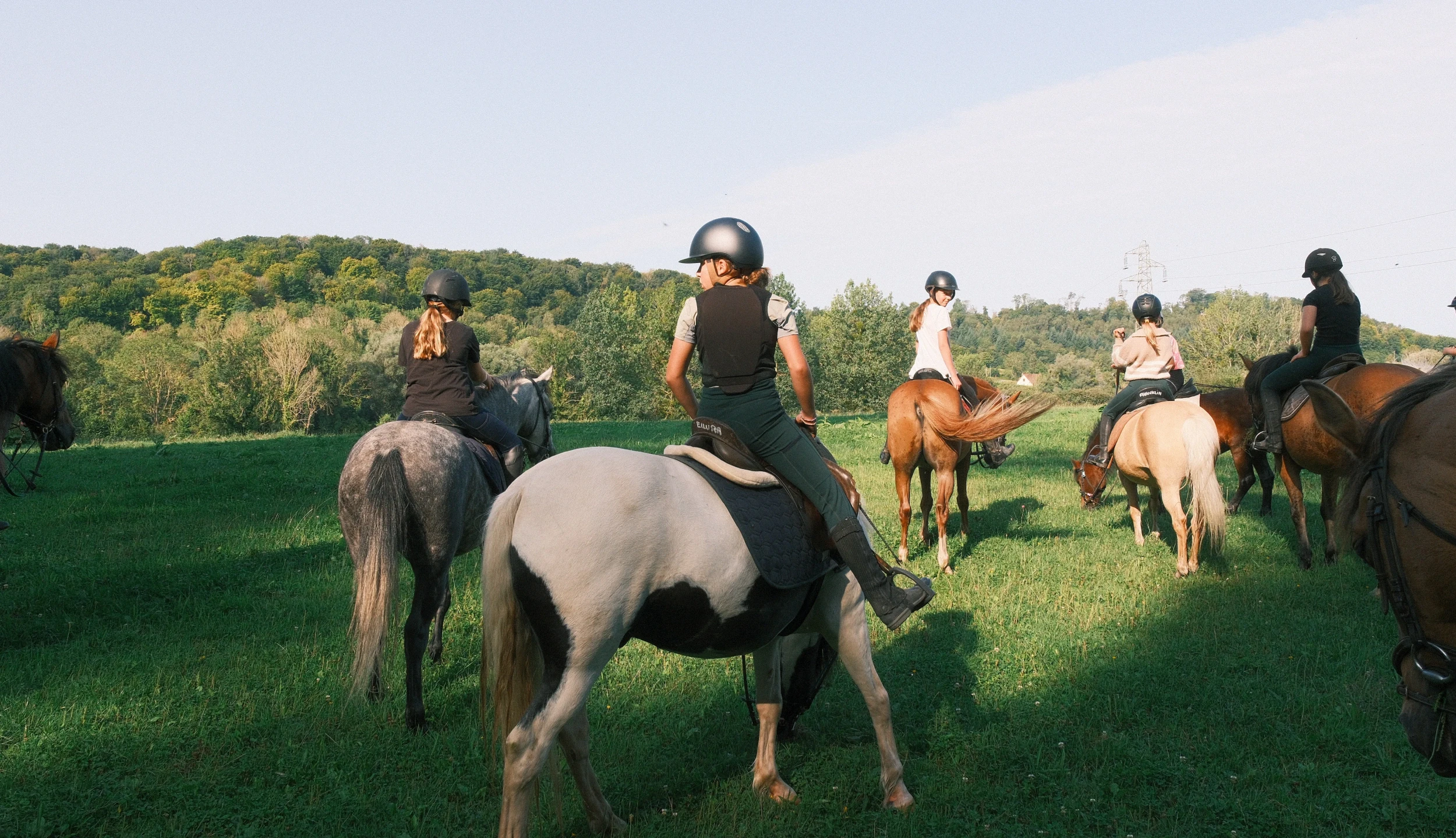 Group of riders stopped in a meadow