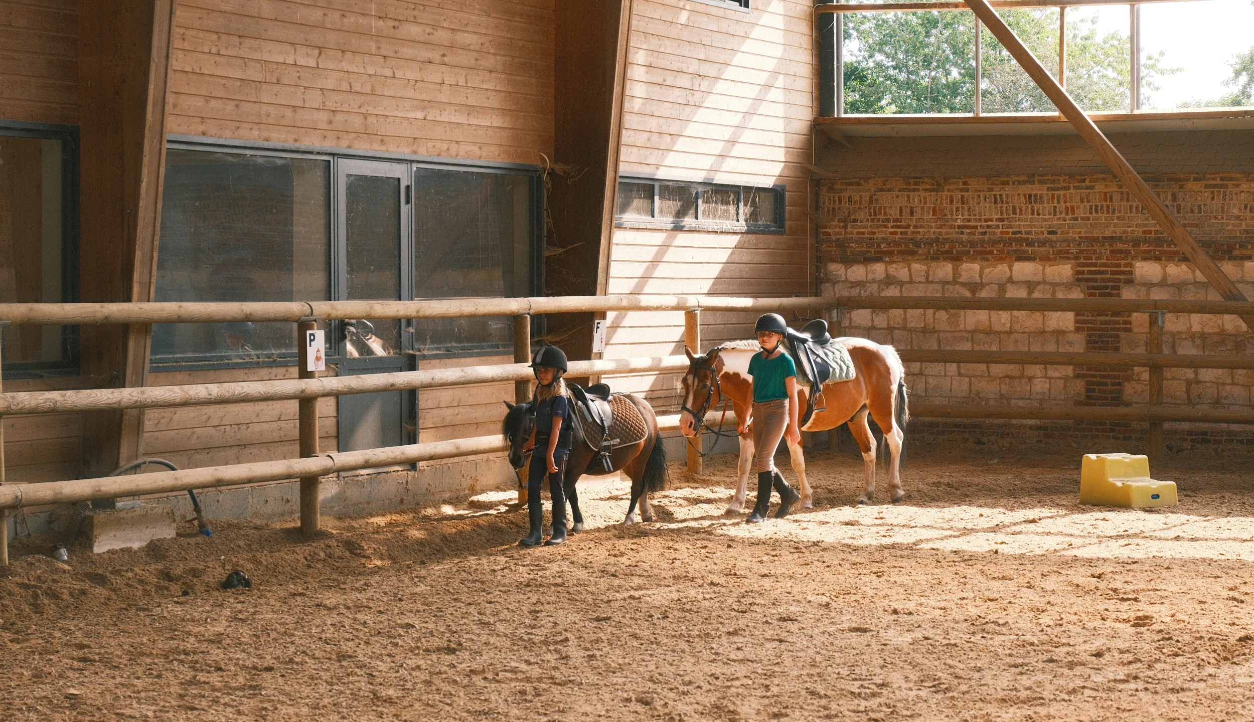 Poneys menés au manège couvert