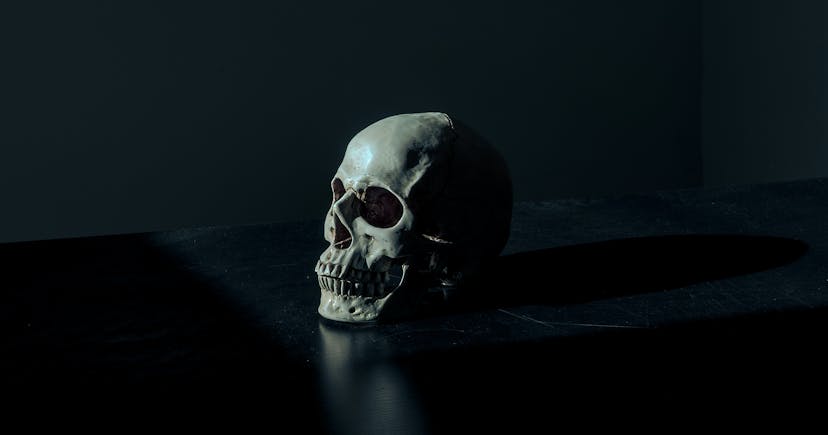 Photograph of Skull