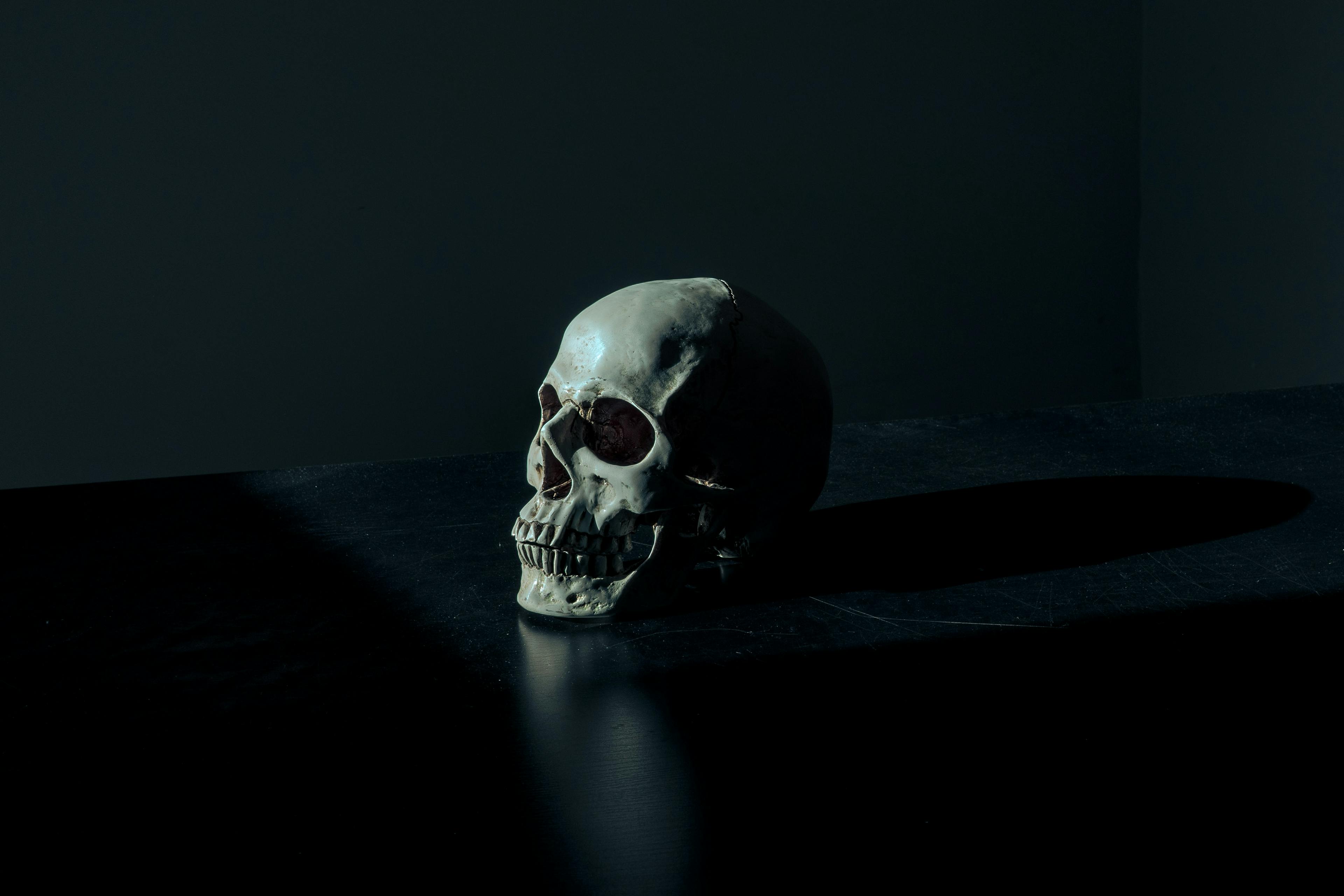 Skull on black reflective surface