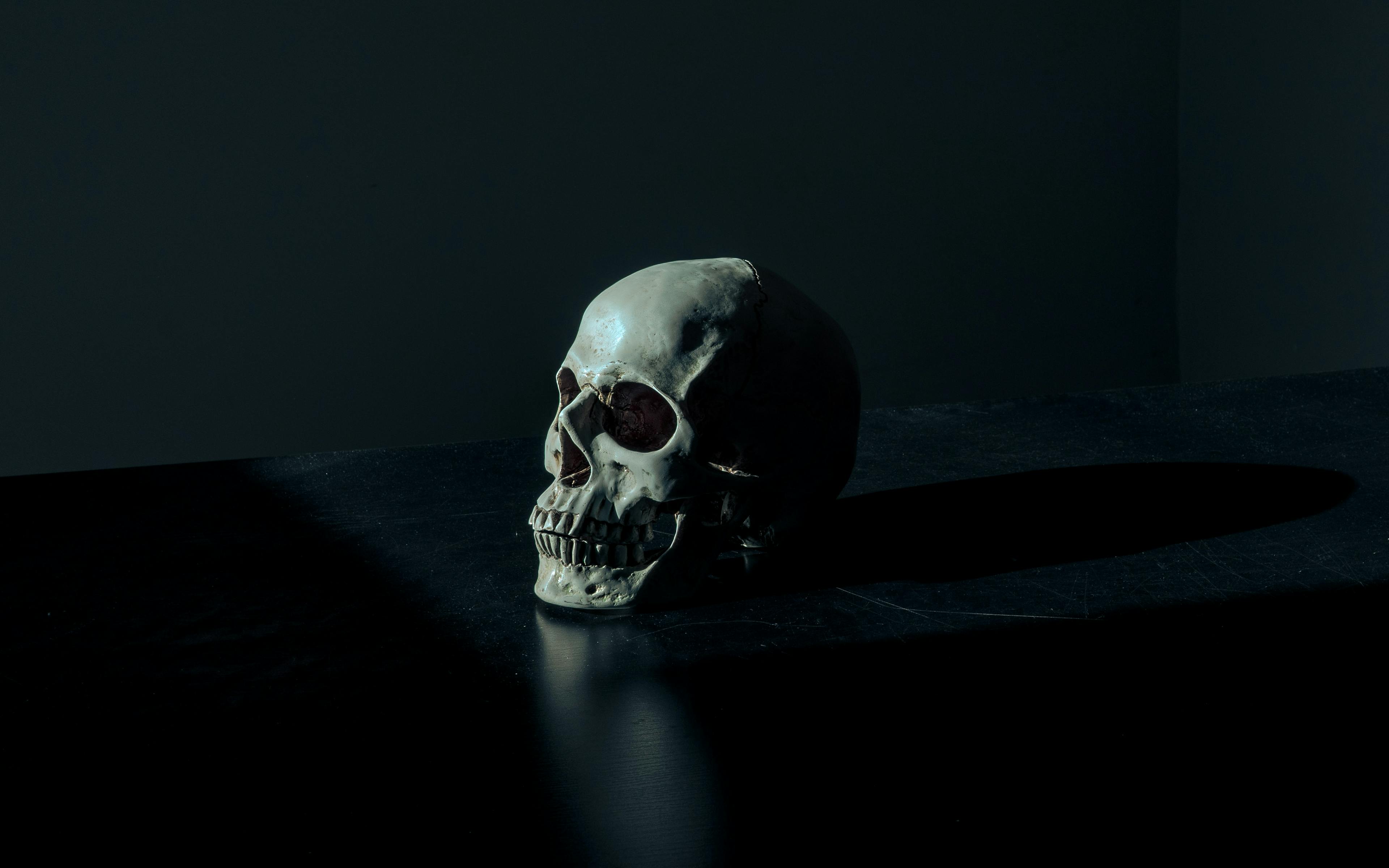 Skull on black reflective surface