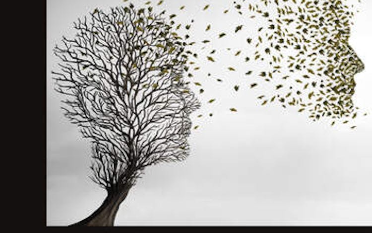 Book Cover of Routledge Handbook of Law and Death