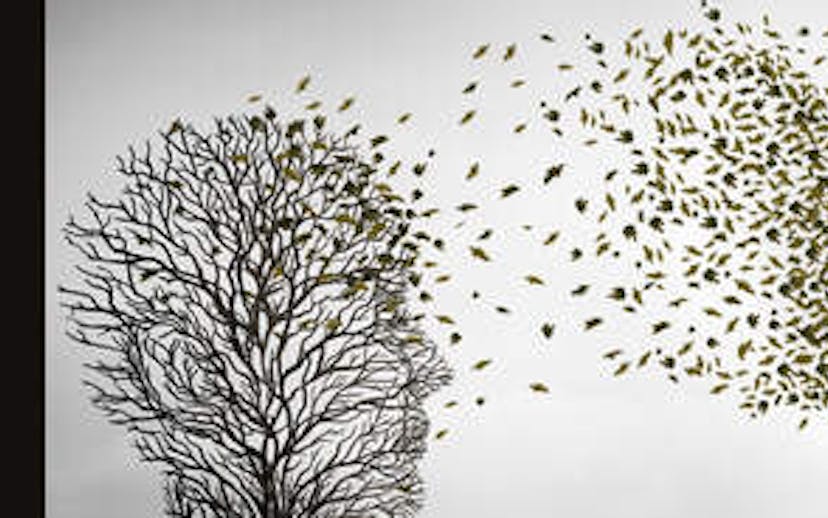 Book Cover of Routledge Handbook of Law and Death