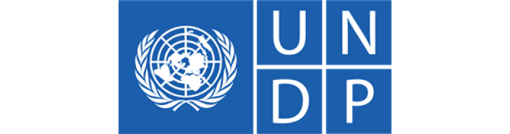 The image shows the UNDP logo