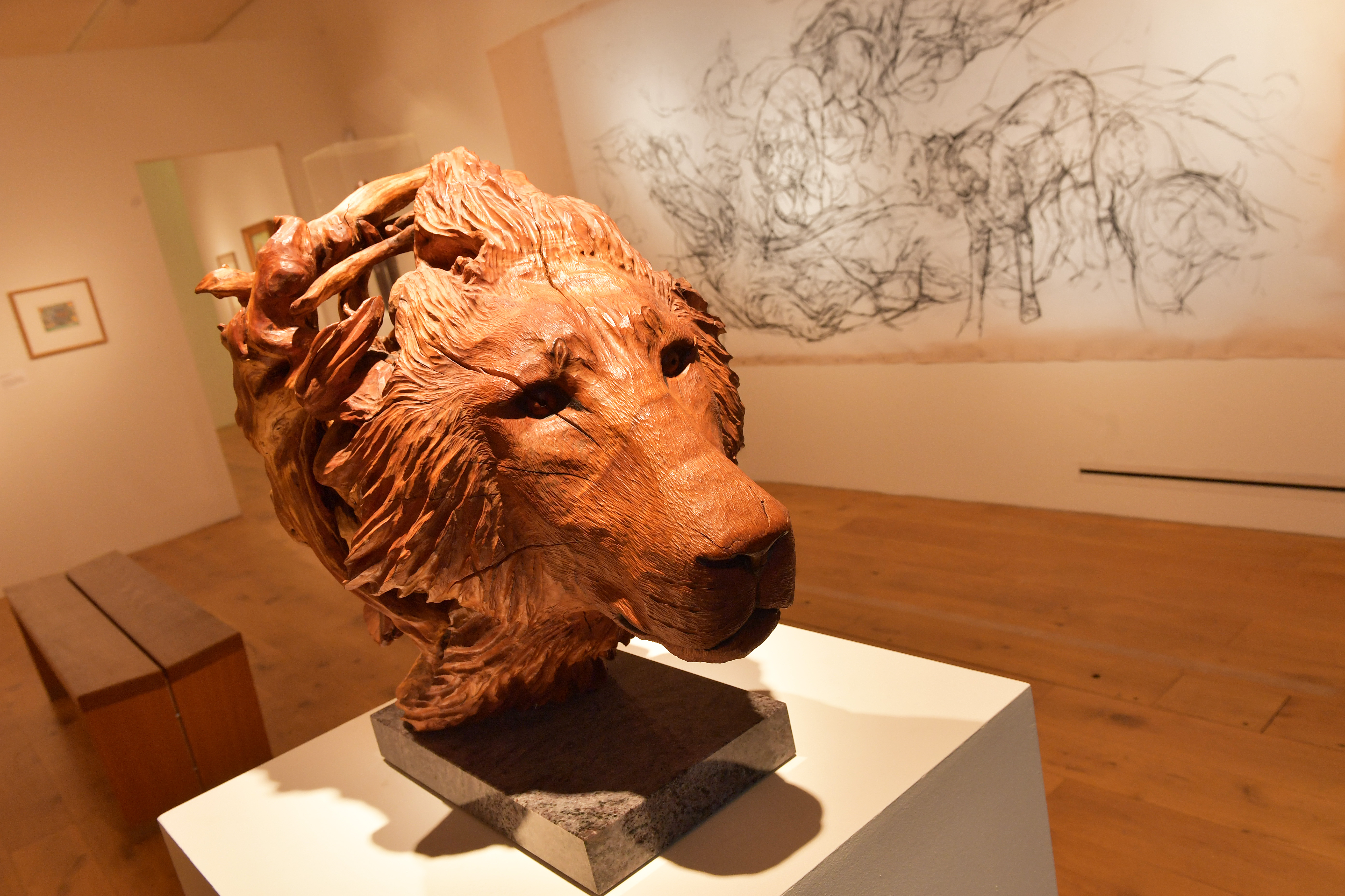 Animal Encounters Installation Shot c. Lightbox Gallery