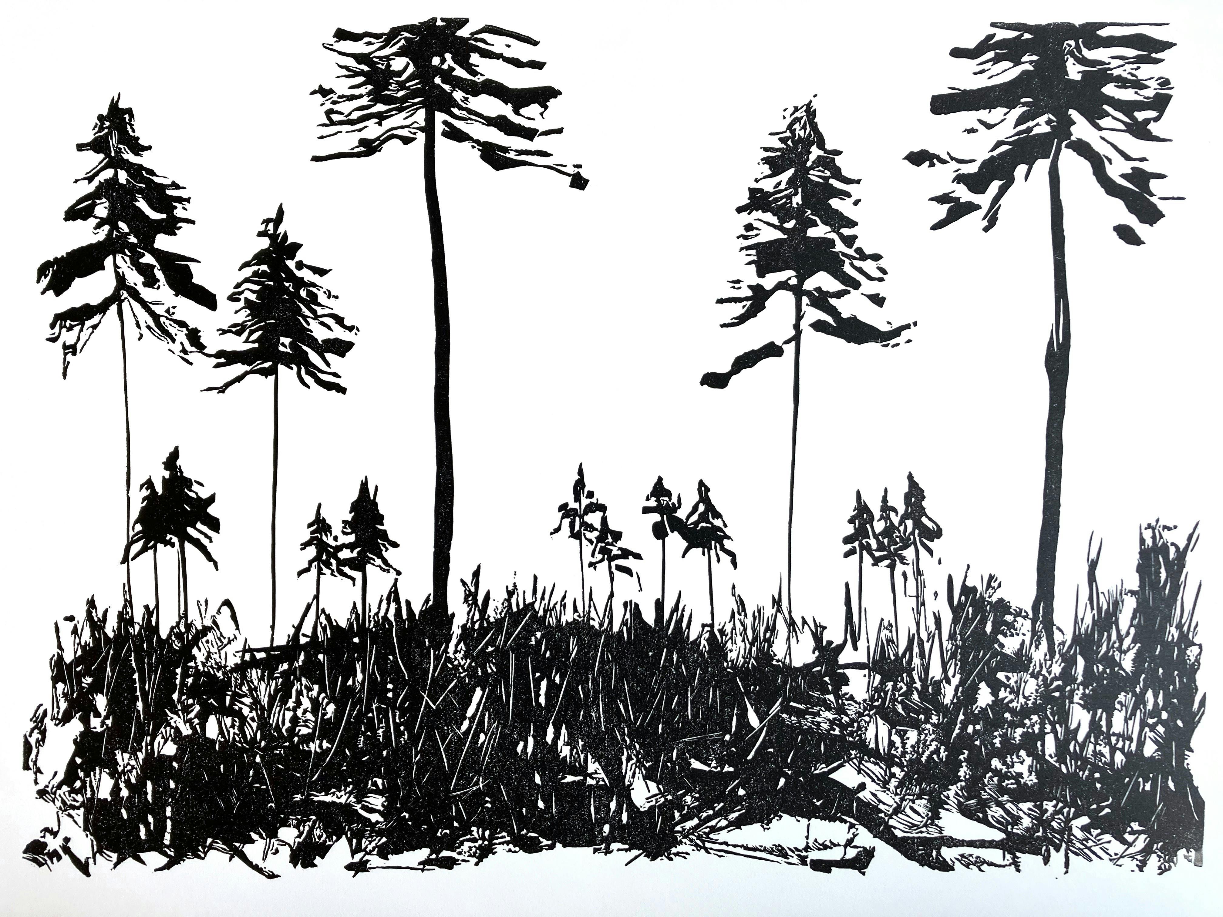 Image shows a print in black ink of a forrest