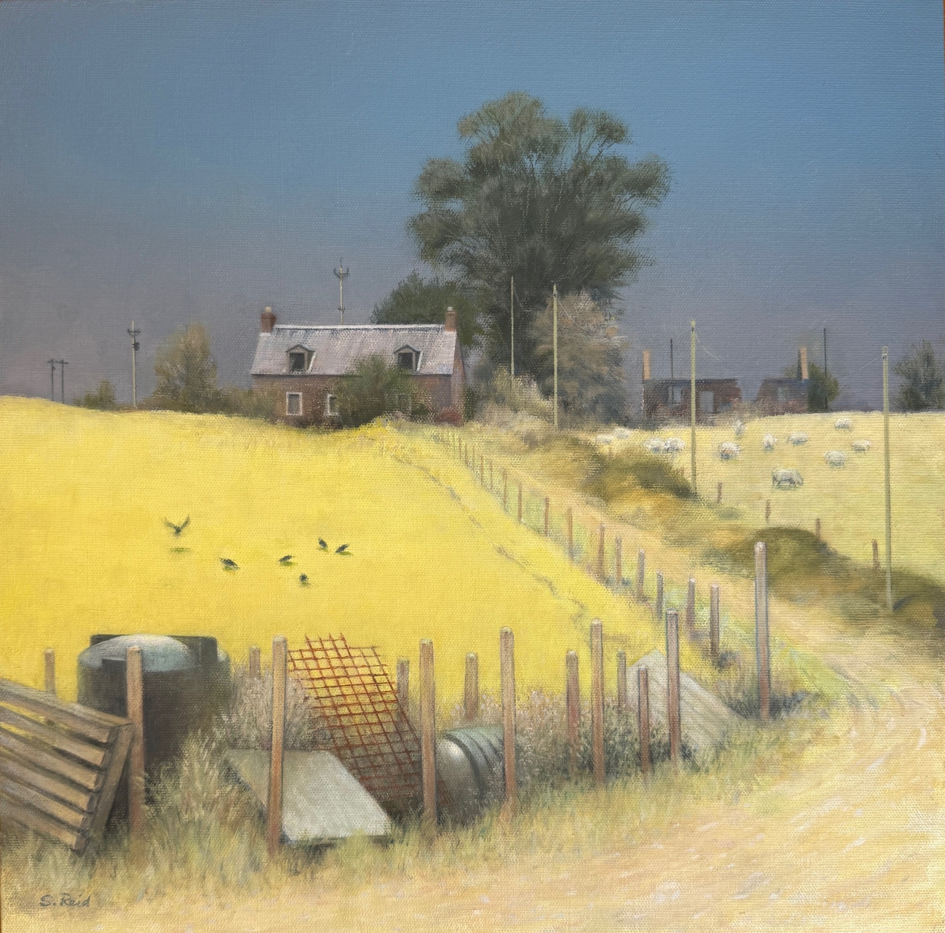 Abandoned Cottage, Balloch by Stuart Reid