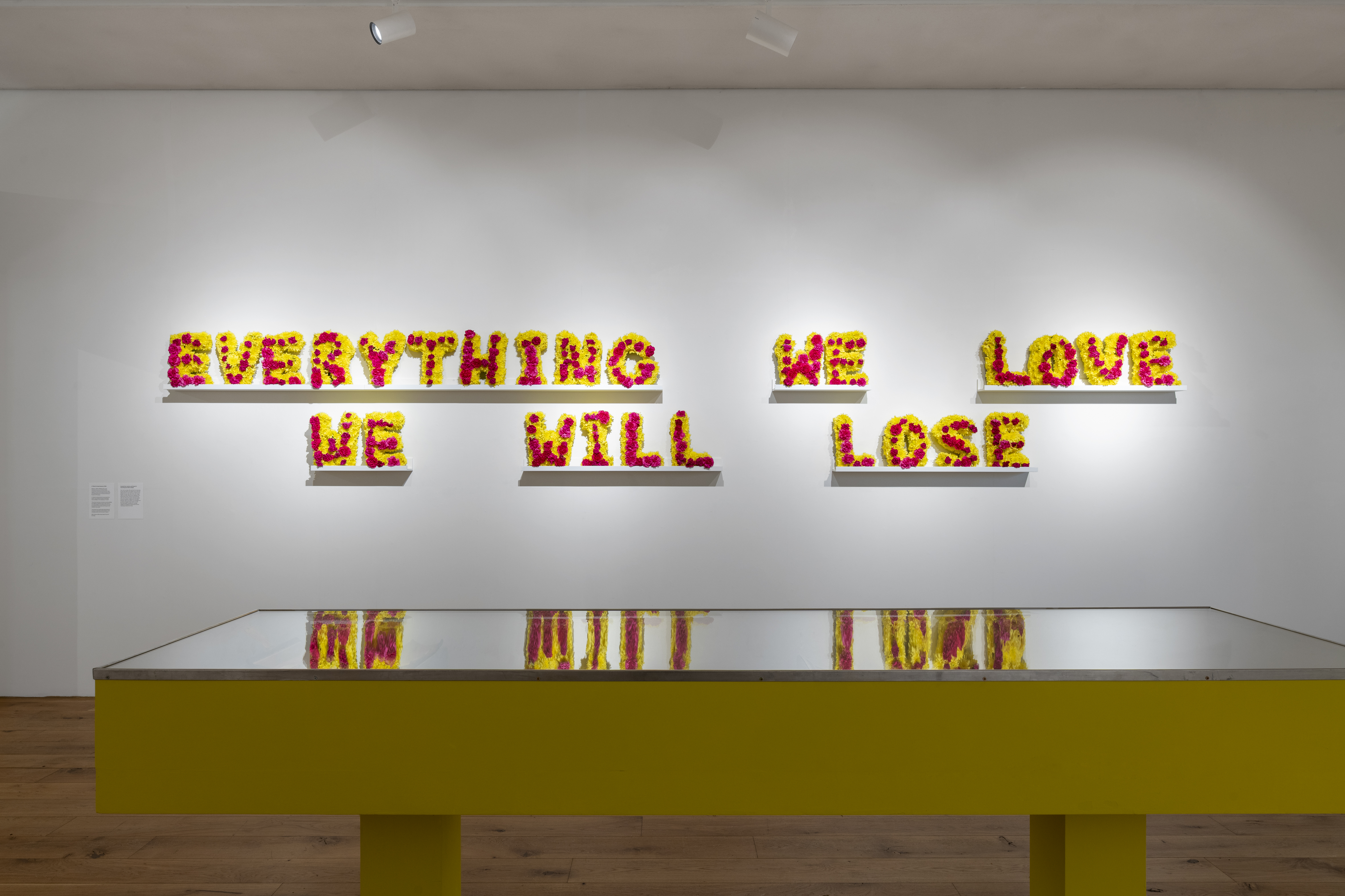 Installation shot of A Tribute to Impermanence, 2026 © Deniz Guzel