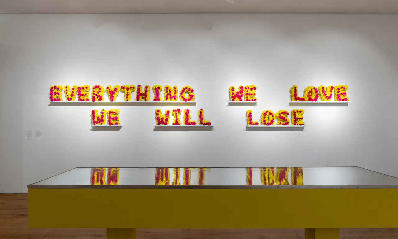 Installation shot of A Tribute to Impermanence, 2026 © Deniz Guzel
