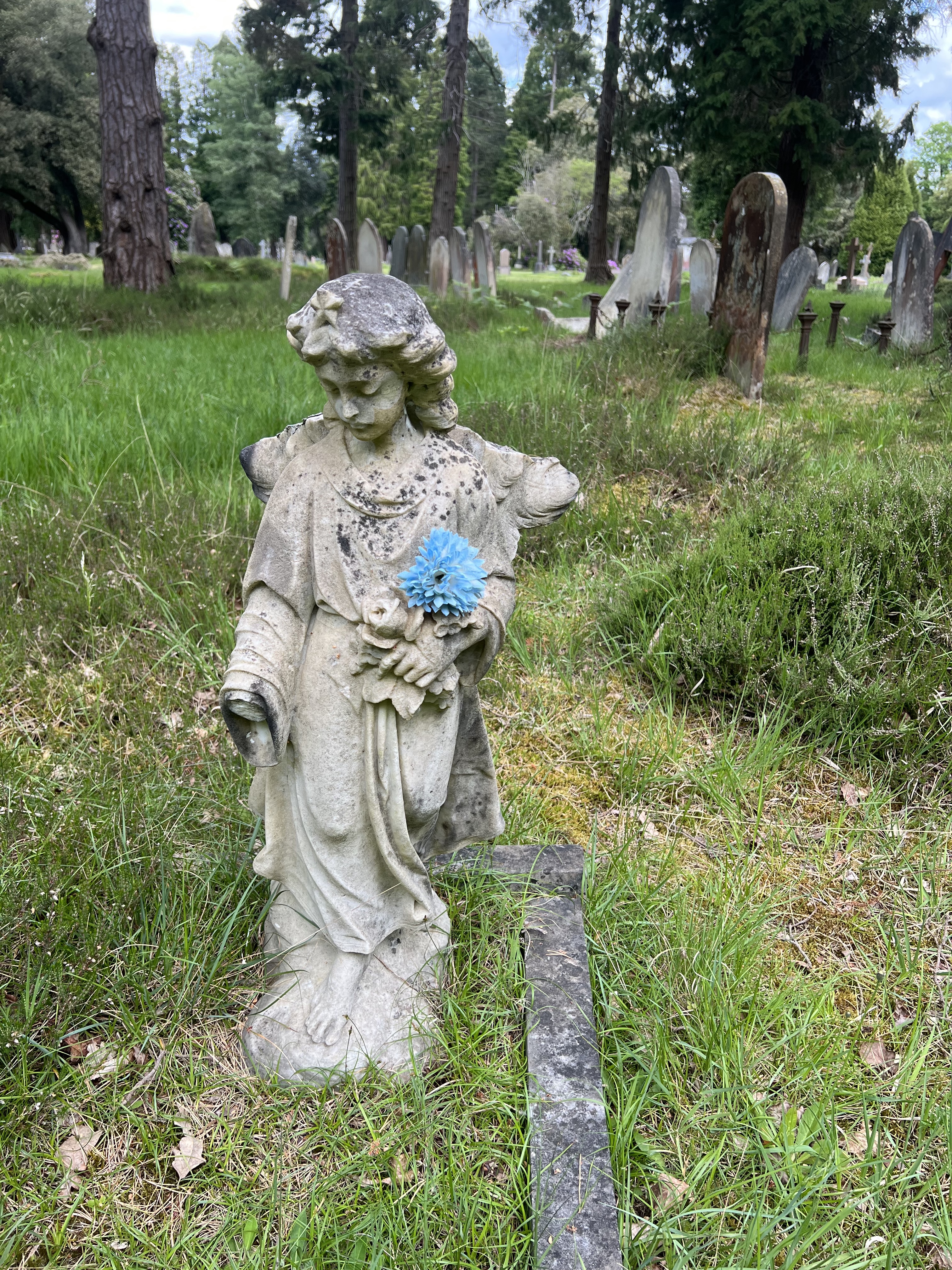 Photograph by YARA + DAVINA taken at Brookwood Cemetery