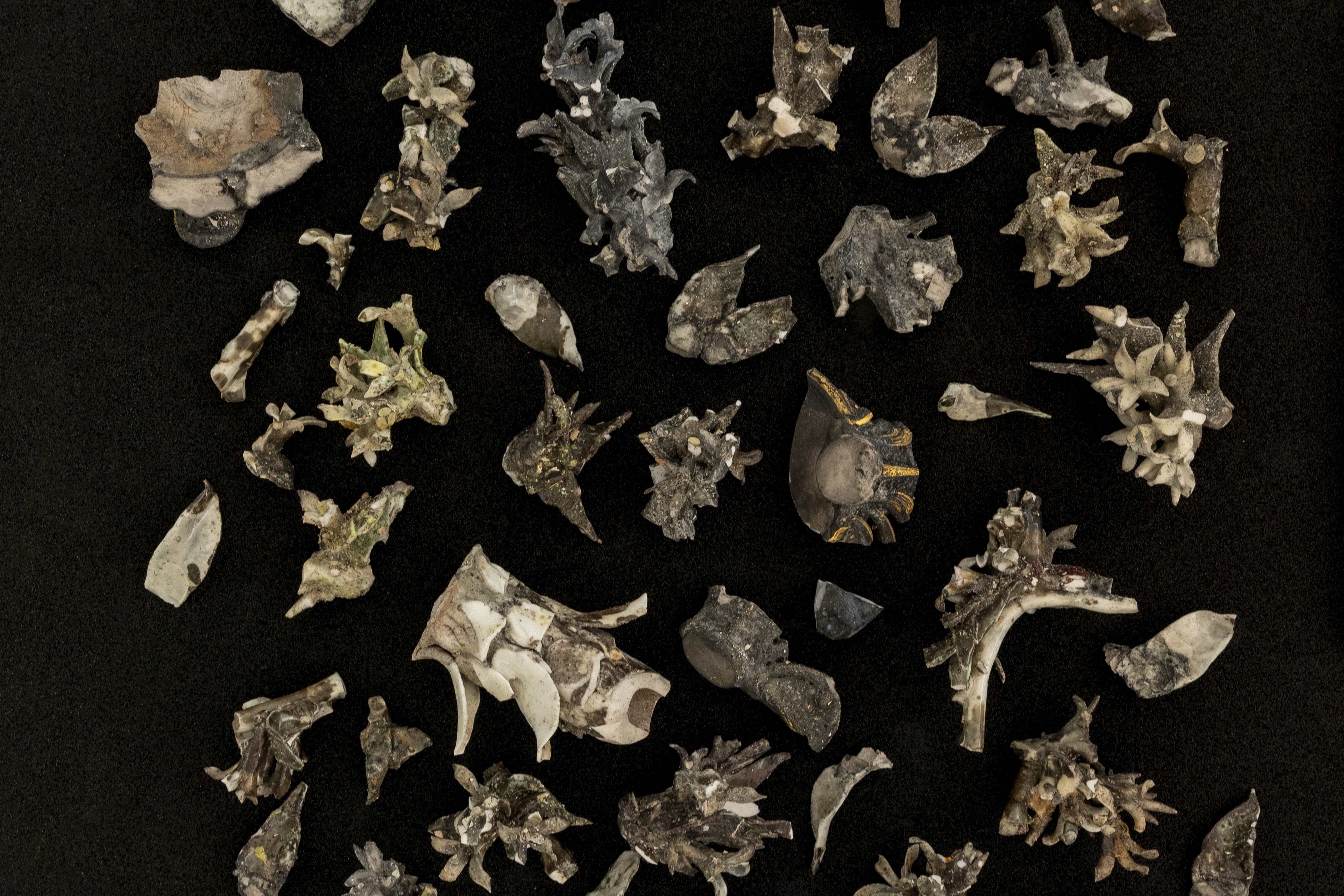 Installation shot of Fragments from a pair of Chelsea-Derby Jardinieres, c. 1770, NT object number 1440305 © Deniz Guzel