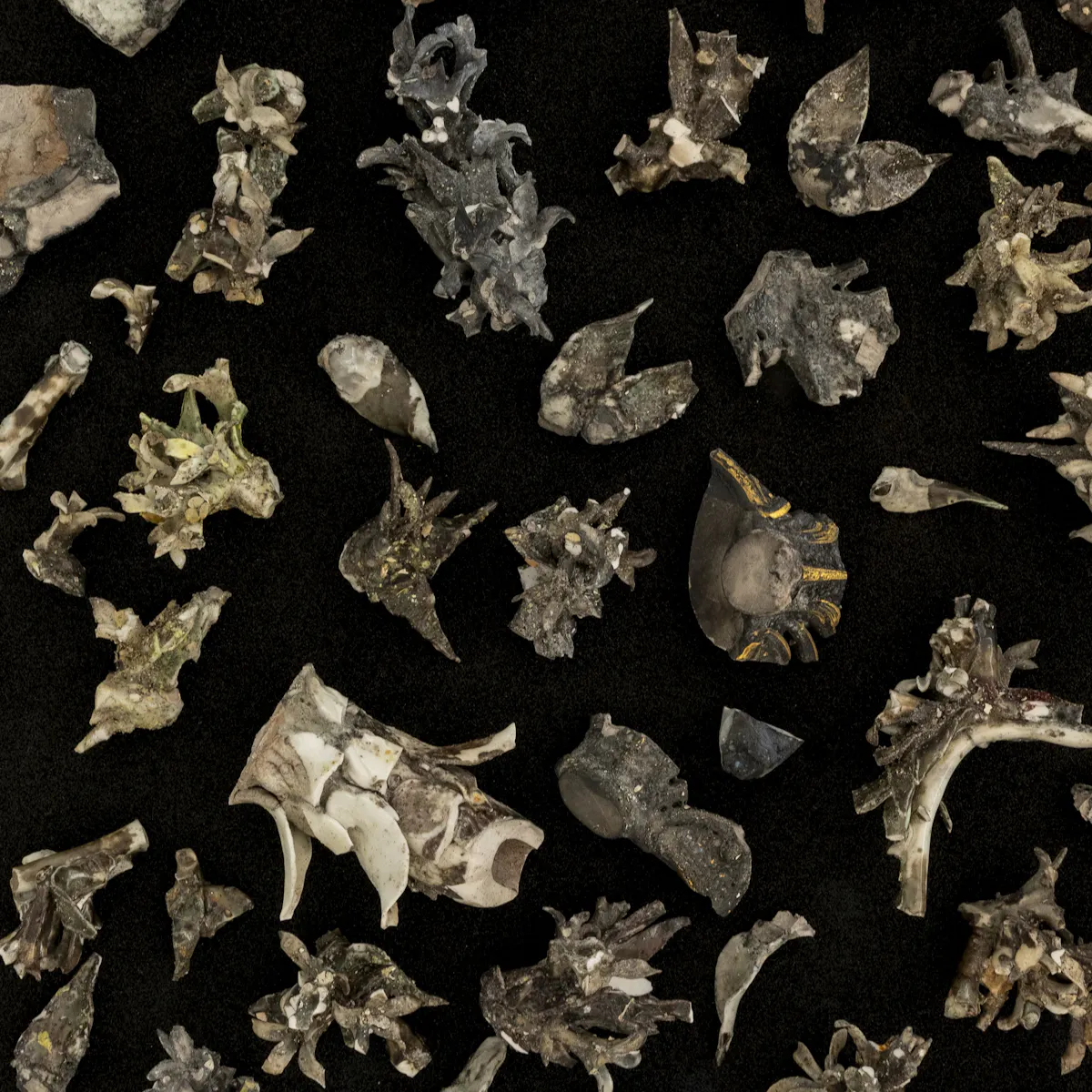 Installation shot of Fragments from a pair of Chelsea-Derby Jardinieres, c. 1770, NT object number 1440305 © Deniz Guzel