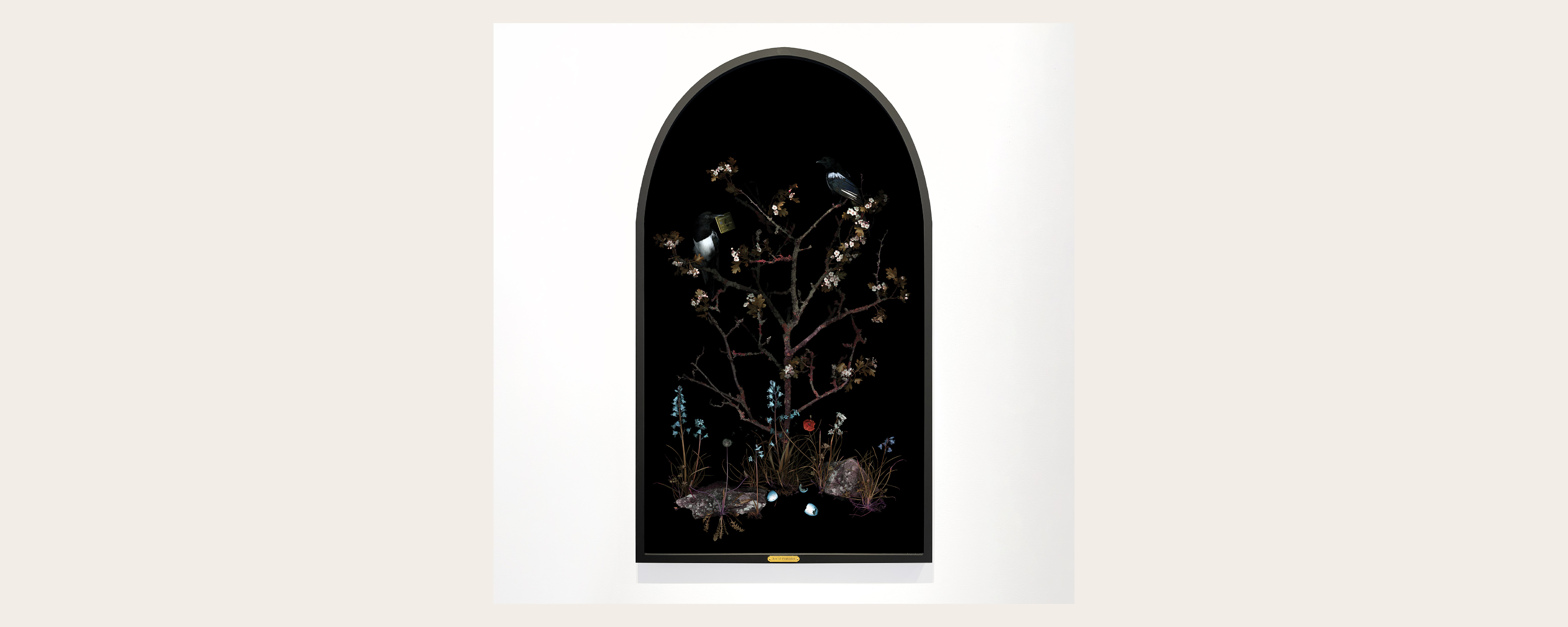Meryl Donoghue, Ace of Pentacles, Tarot Series, 2023, Photographic print on di-bond, 70cm x 123cm © The Artist, Image courtesy of COLE-LEVI KLIMT 