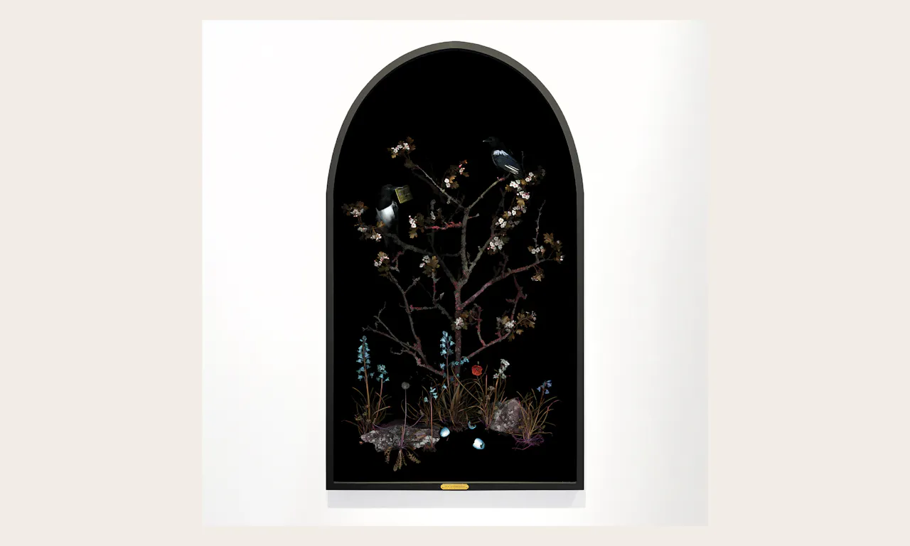 Meryl Donoghue, Ace of Pentacles, Tarot Series, 2023, Photographic print on di-bond, 70cm x 123cm © The Artist, Image courtesy of COLE-LEVI KLIMT