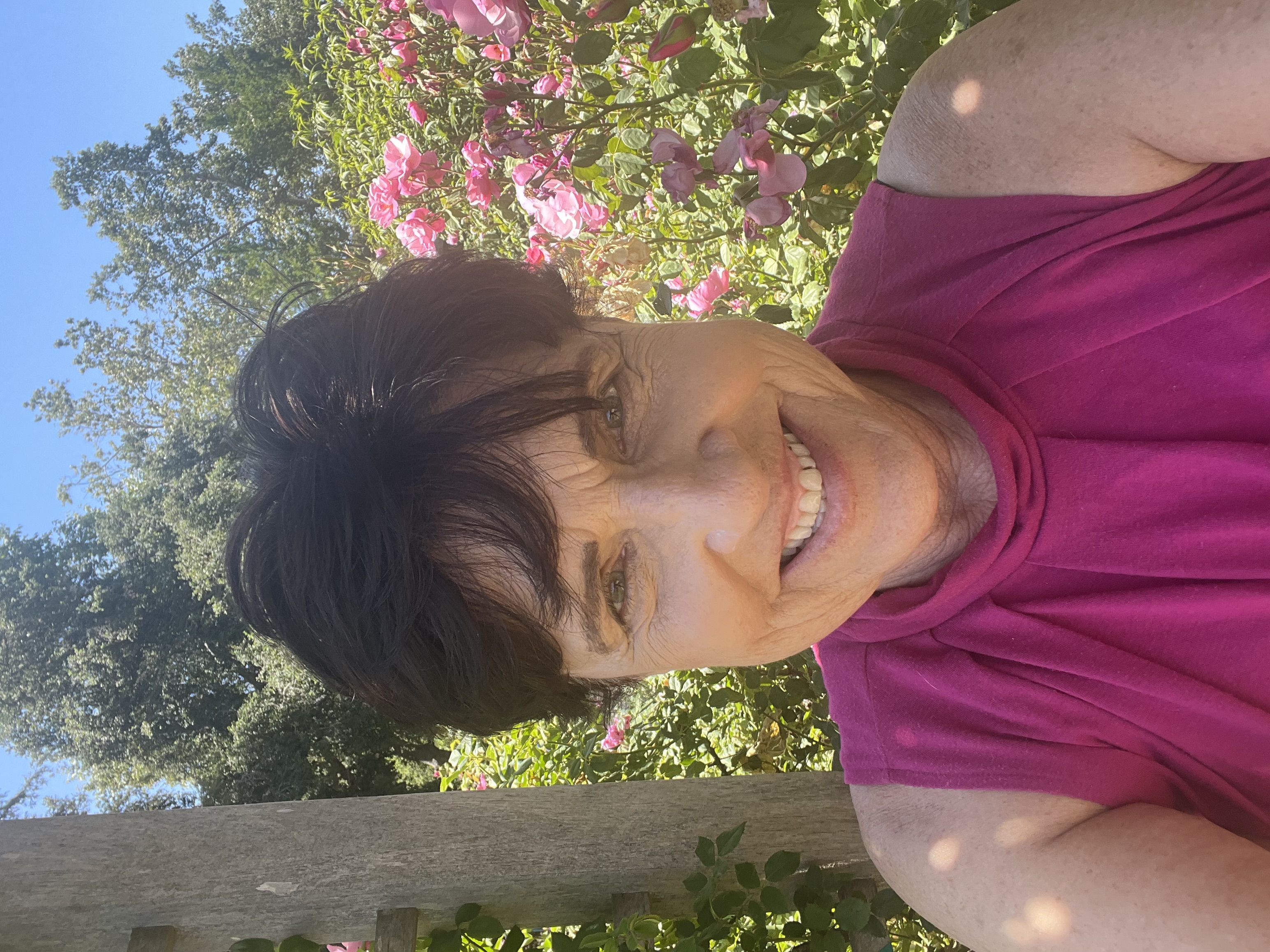 Debbie Andorka picture