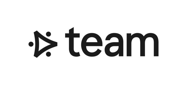 Team Consulting logo