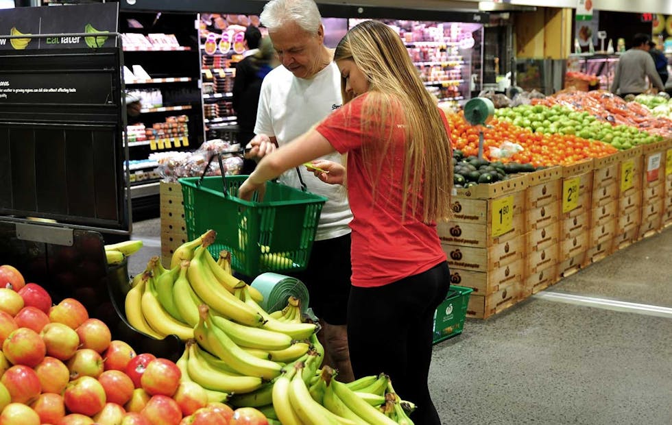 carer helping with doing the weekly shop