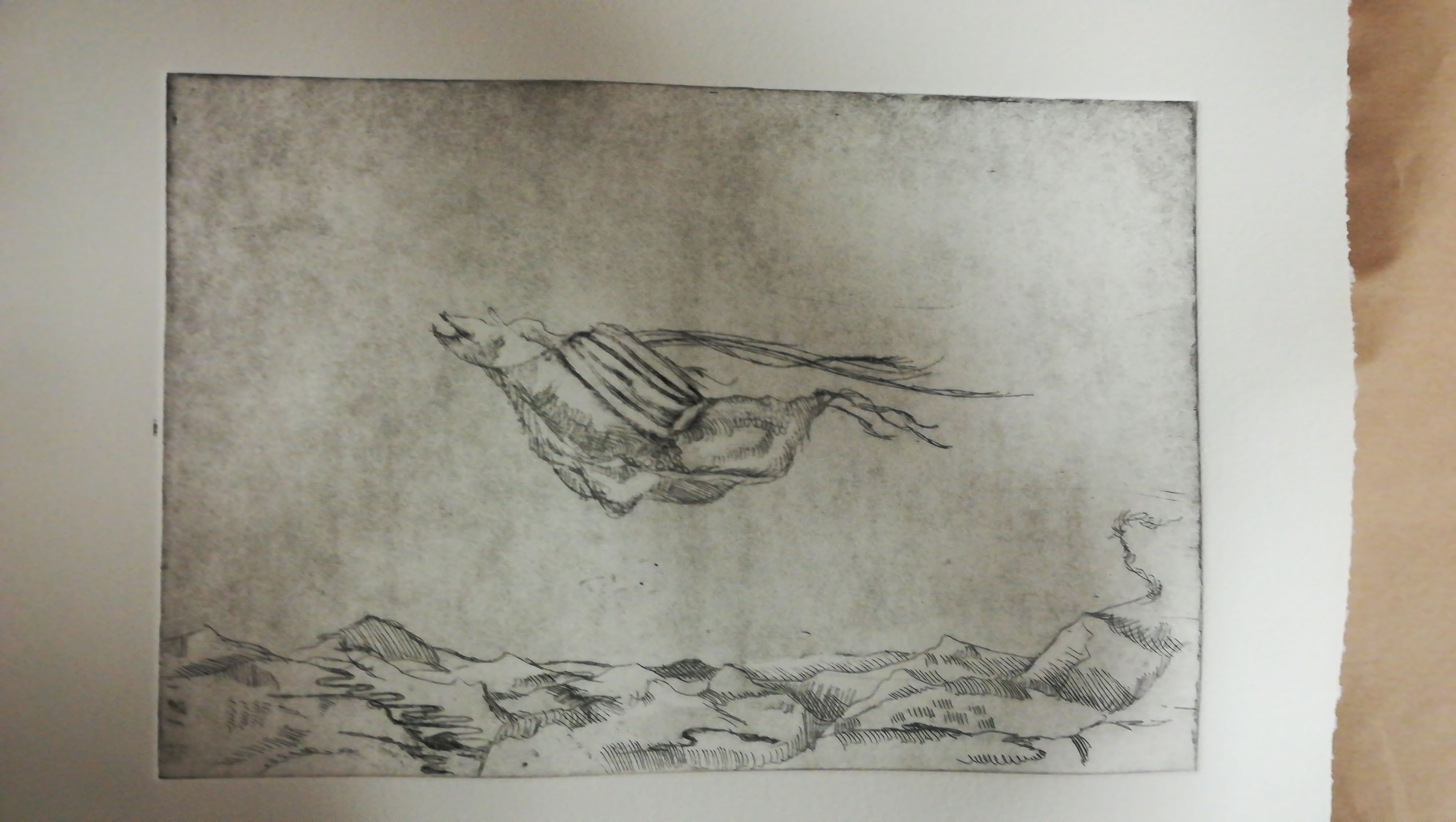 Fliegendes Objekt, Lillian Noack