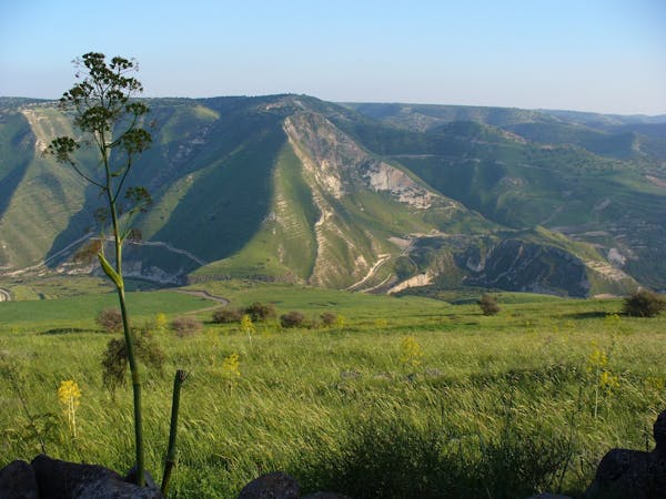 The Sermon on the Mount 