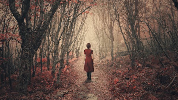 I Shall Not Be Moved: The Story of Louise de Coligny