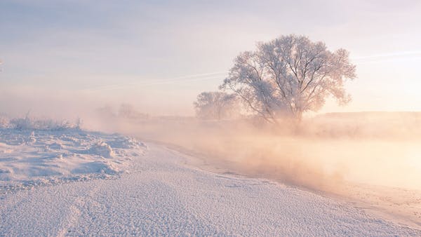 J.N. LOUGHBOROUGH: WHAT DOEST THOU HERE ELIJAH?