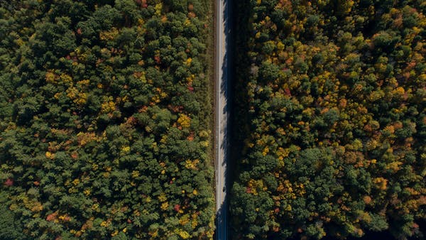 ADVENTISTS, ABOLITION AND OAKWOOD